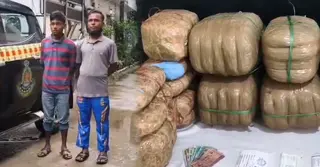 আলুর বস্তায় গাঁজা, দুই মাদক কারবারি গ্রেপ্তার